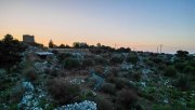 Kefalas Chania Kreta, Kefalas: Grundstück mit atemberaubendem Meerblick zu verkaufen Grundstück kaufen